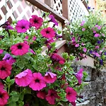 Beachside Villa Luxury Suites And Vacation Rentals