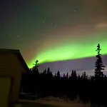 Denali Wild Stay - Bear Cabin With Hot Tub And Free Wifi, Private, Sleep 6