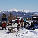 Denali Wild Stay - Bear Cabin With Hot Tub And Free Wifi, Private, Sleep 6