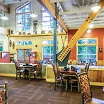 Denali Grizzly Bear Resort