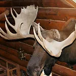 Wise Old Hunter Lodge