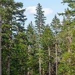 Crow Creek