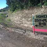 Homer Stay And Play