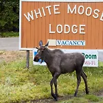 White Moose Lodge