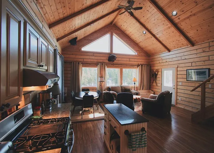 Denali Wild Stay - Bear Cabin With Hot Tub And Free Wifi, Private, Sleep 6