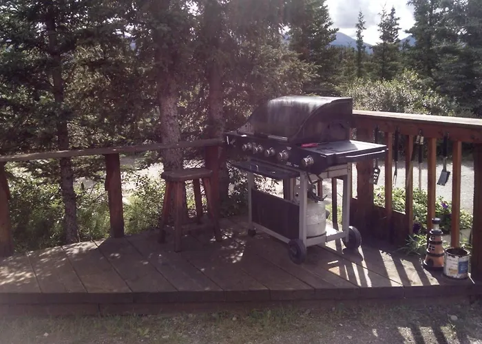Denali\'S Alaskan Spruce Cabins
