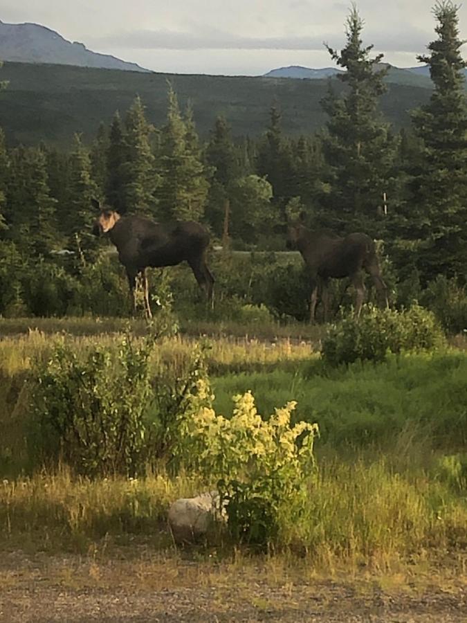 Denali Park Motel Healy