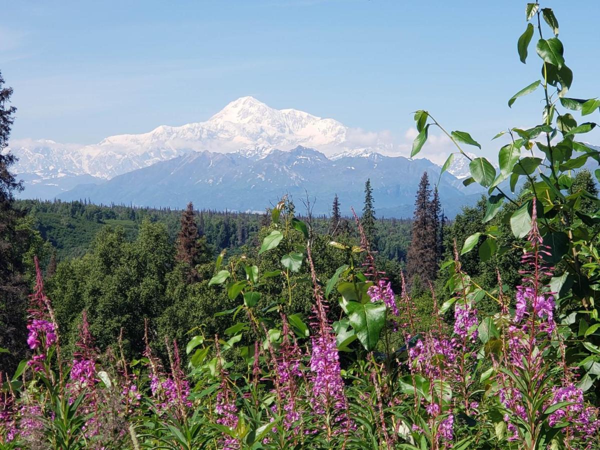 Denali Wild - Bear With Hot Tub And Free Wifi, Private, Sleep 6 Holiday home Healy