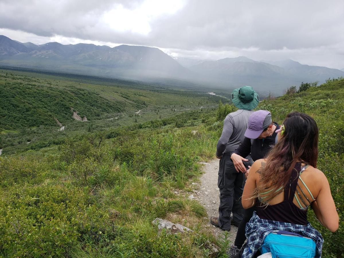 Holiday home Denali Wild - Bear With Hot Tub And Free Wifi, Private, Sleep 6