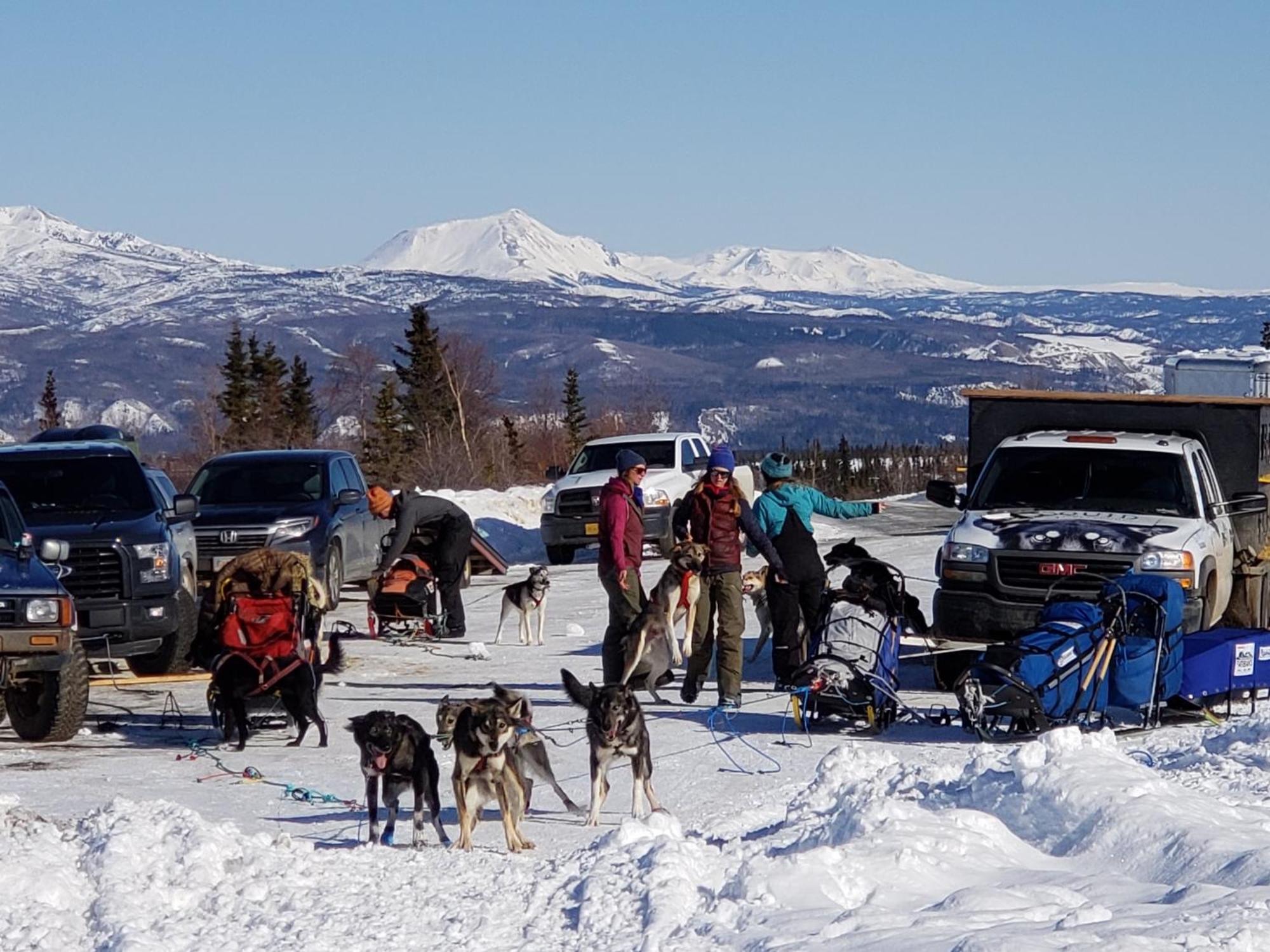 Denali Wild - Bear With Hot Tub And Free Wifi, Private, Sleep 6
