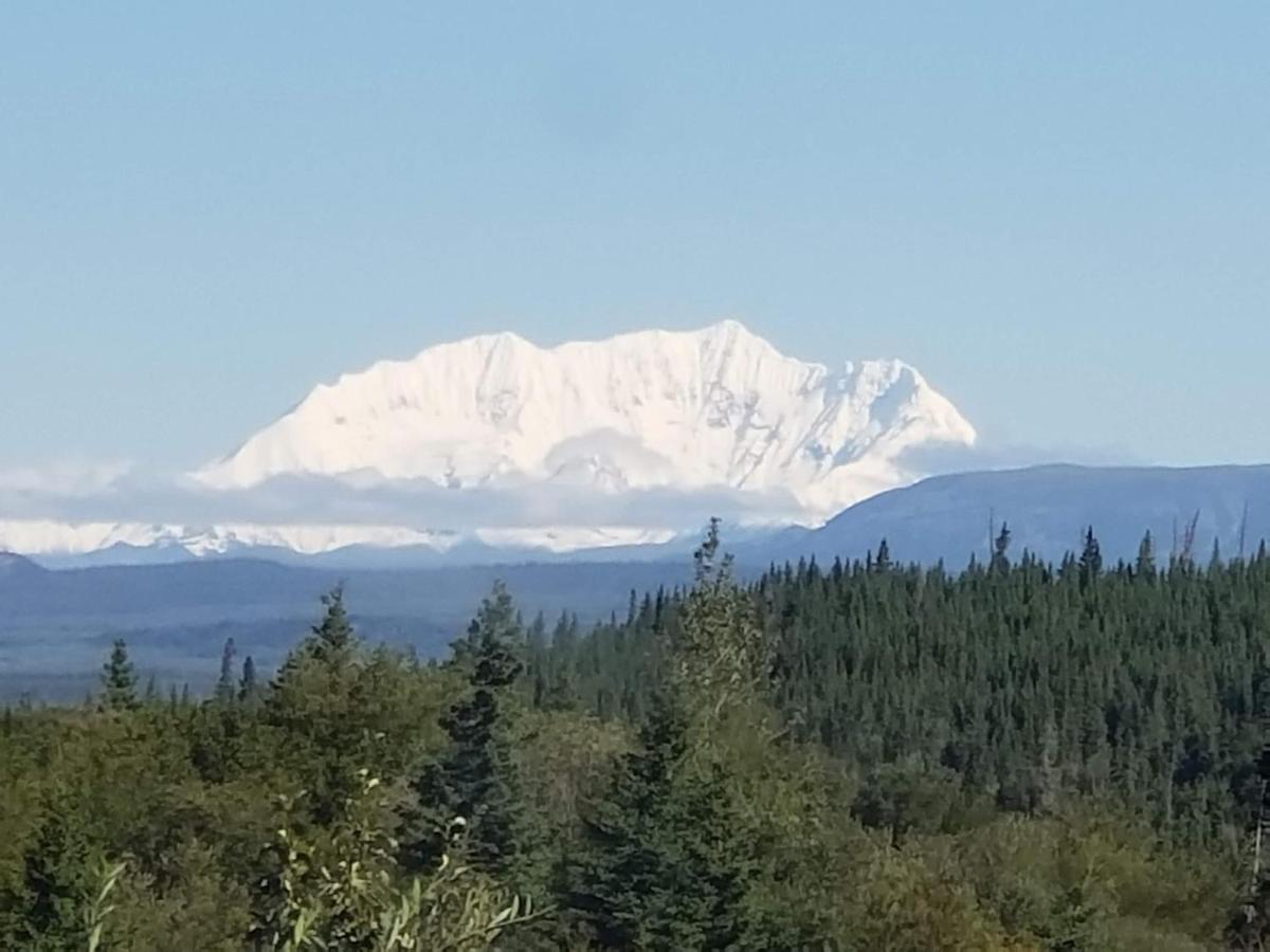 Denali Wild - Bear With Hot Tub And Free Wifi, Private, Sleep 6 Holiday home Healy