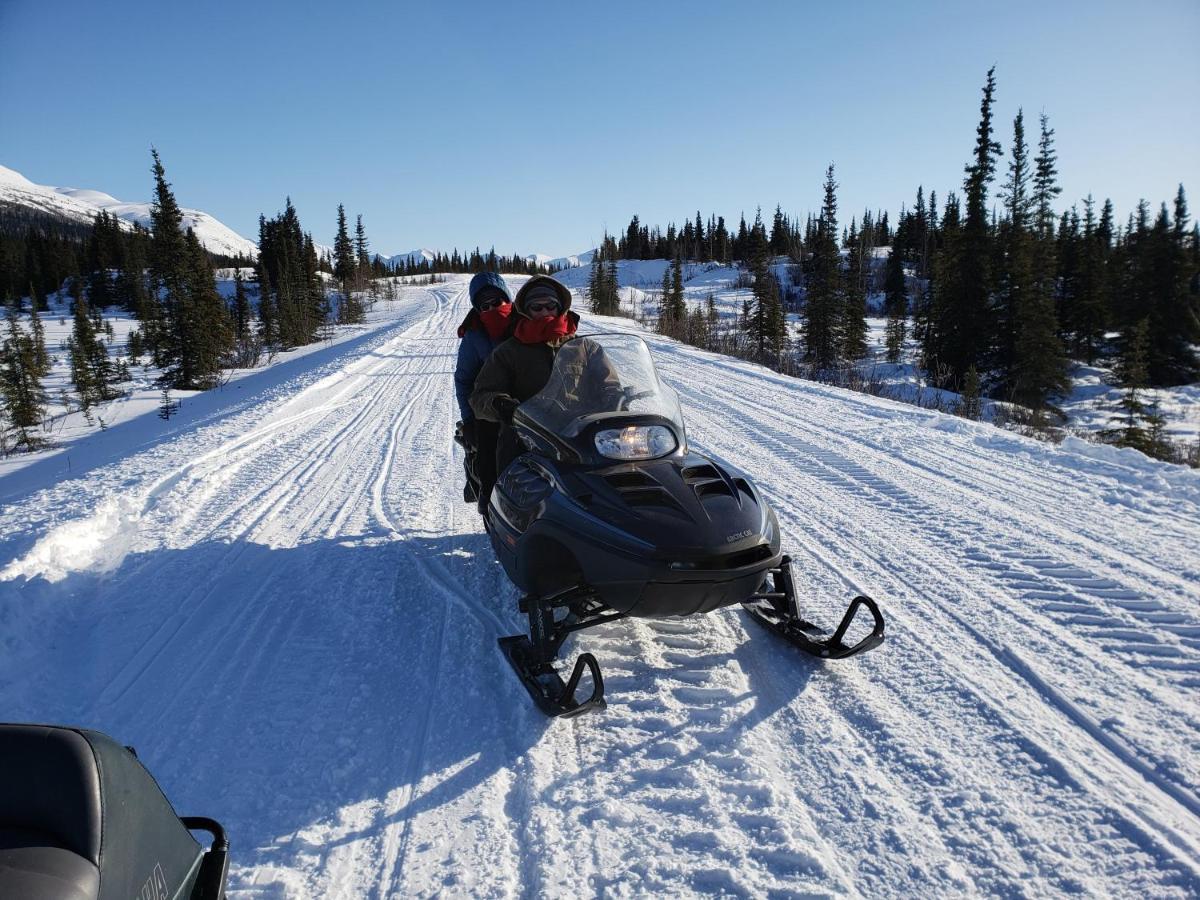Denali Wild - Bear With Hot Tub And Free Wifi, Private, Sleep 6