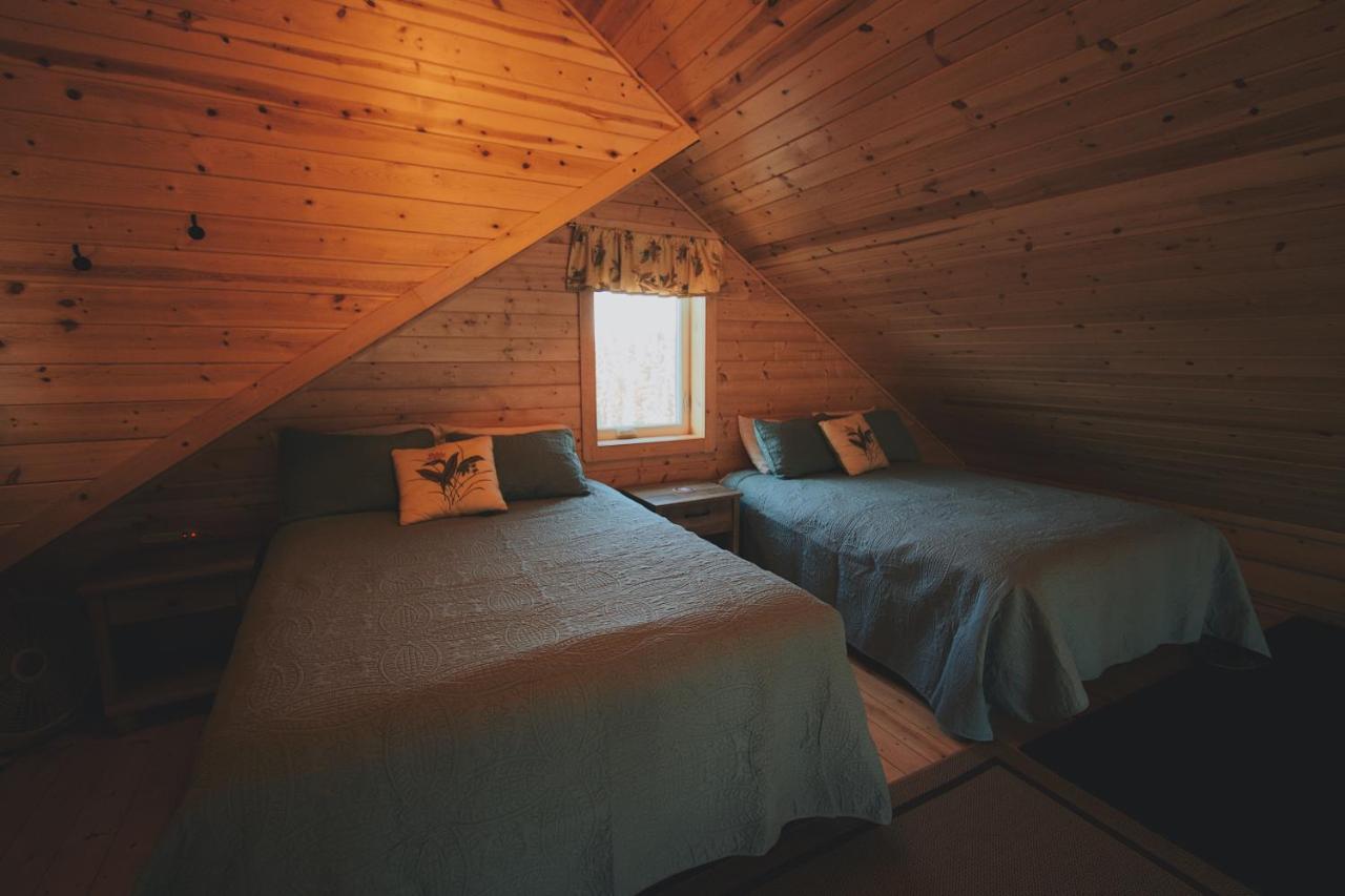 Denali Wild - Bear With Hot Tub And Free Wifi, Private, Sleep 6 Holiday home Healy