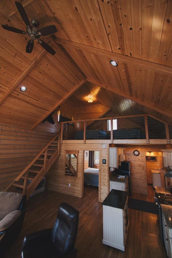 Denali Wild - Bear With Hot Tub And Free Wifi, Private, Sleep 6 * Healy