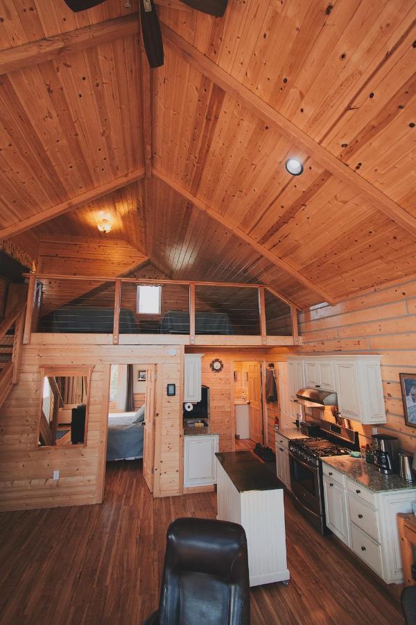 Denali Wild - Bear With Hot Tub And Free Wifi, Private, Sleep 6 *