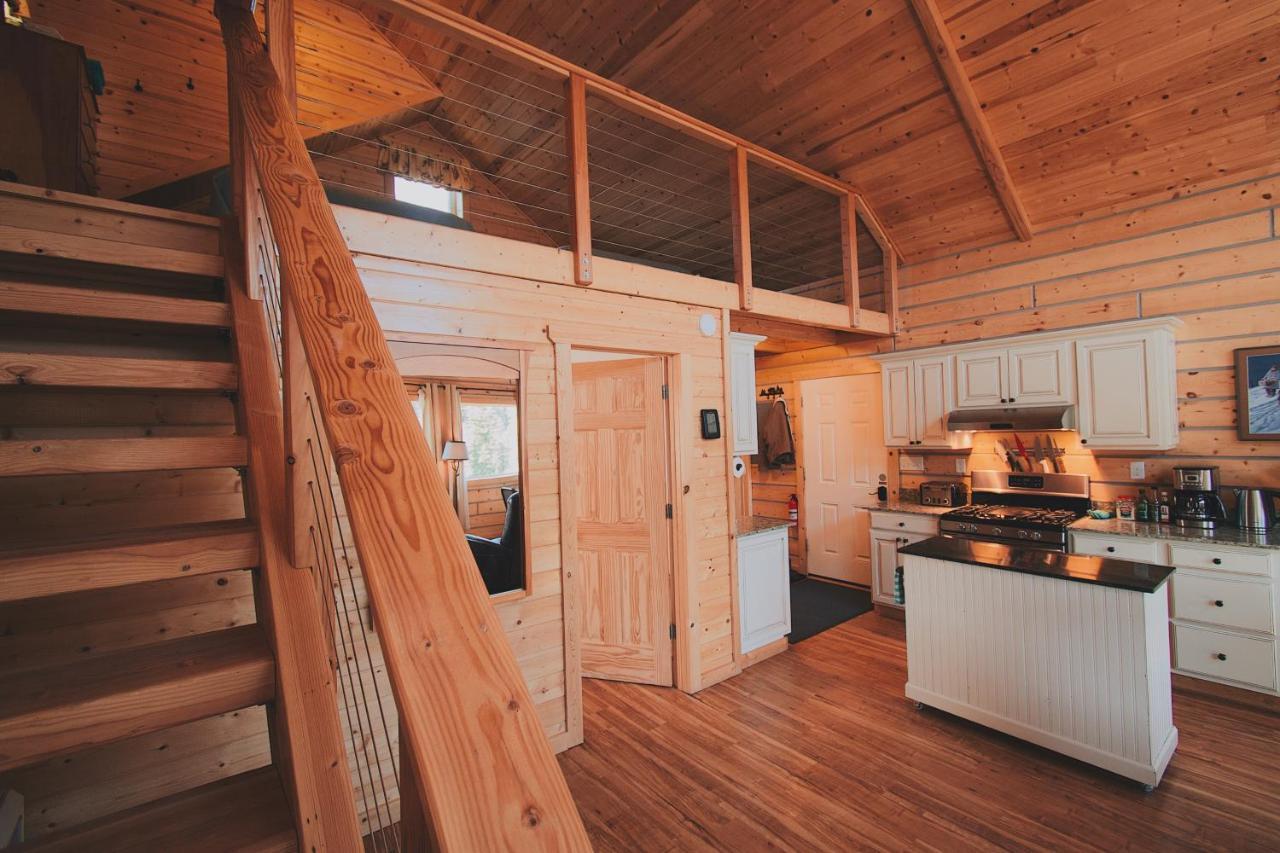 Denali Wild - Bear With Hot Tub And Free Wifi, Private, Sleep 6 Holiday home