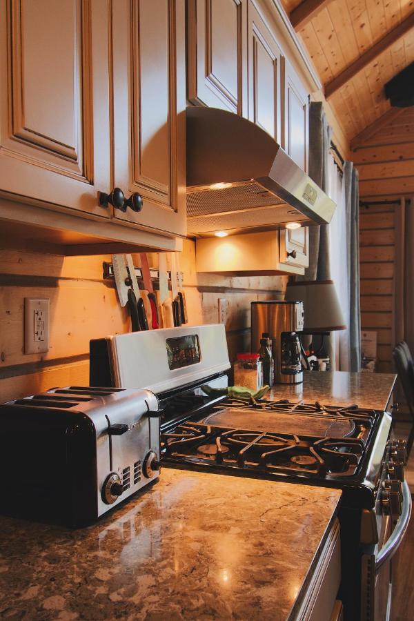Denali Wild - Bear With Hot Tub And Free Wifi, Private, Sleep 6 Holiday home Healy