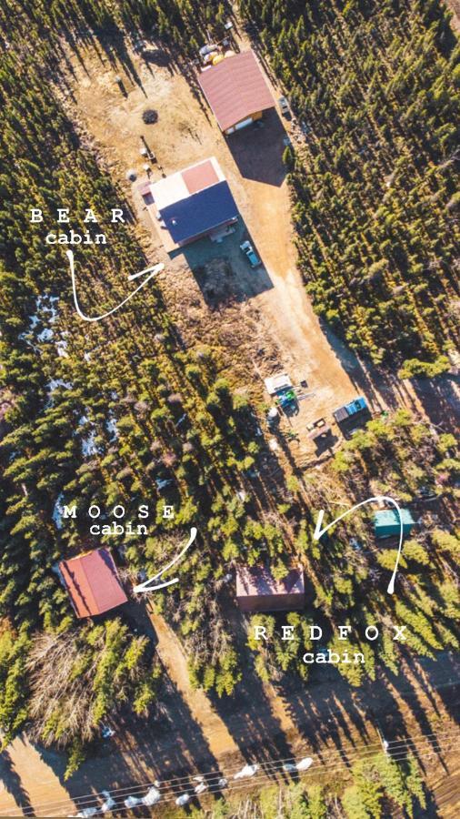 Denali Wild - Bear With Hot Tub And Free Wifi, Private, Sleep 6 * Healy