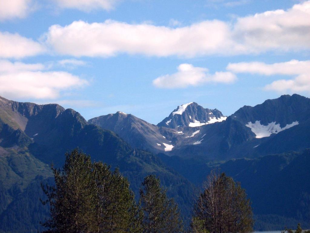 Murphy's Alaskan