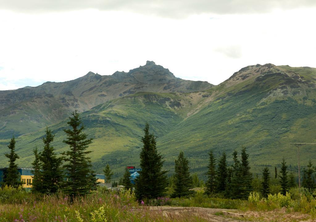 Motel Denali Park