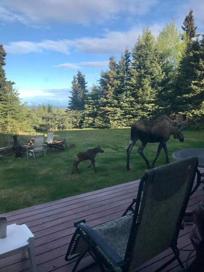 Ocean View Bed & Breakfast