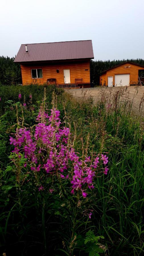 Denali Wild - Bear With Hot Tub And Free Wifi, Private, Sleep 6