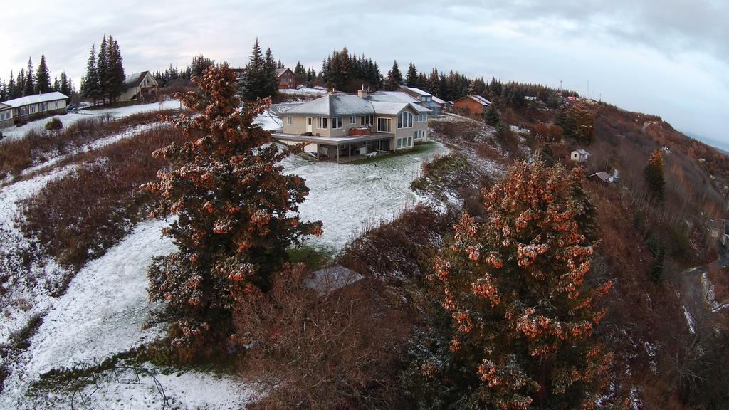 Aloha Alaska Vacation Holiday home *