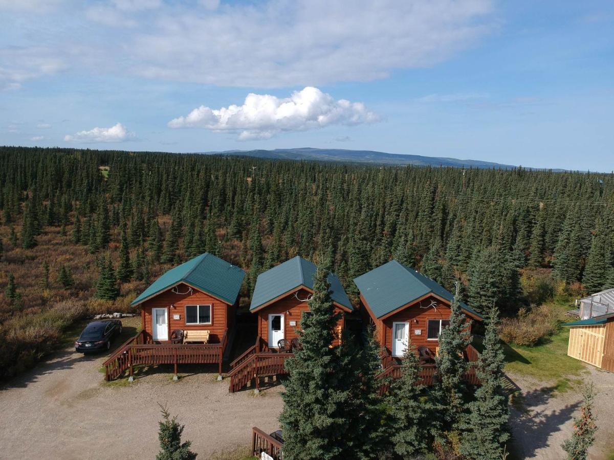 Holiday park Denali's Alaskan Spruce