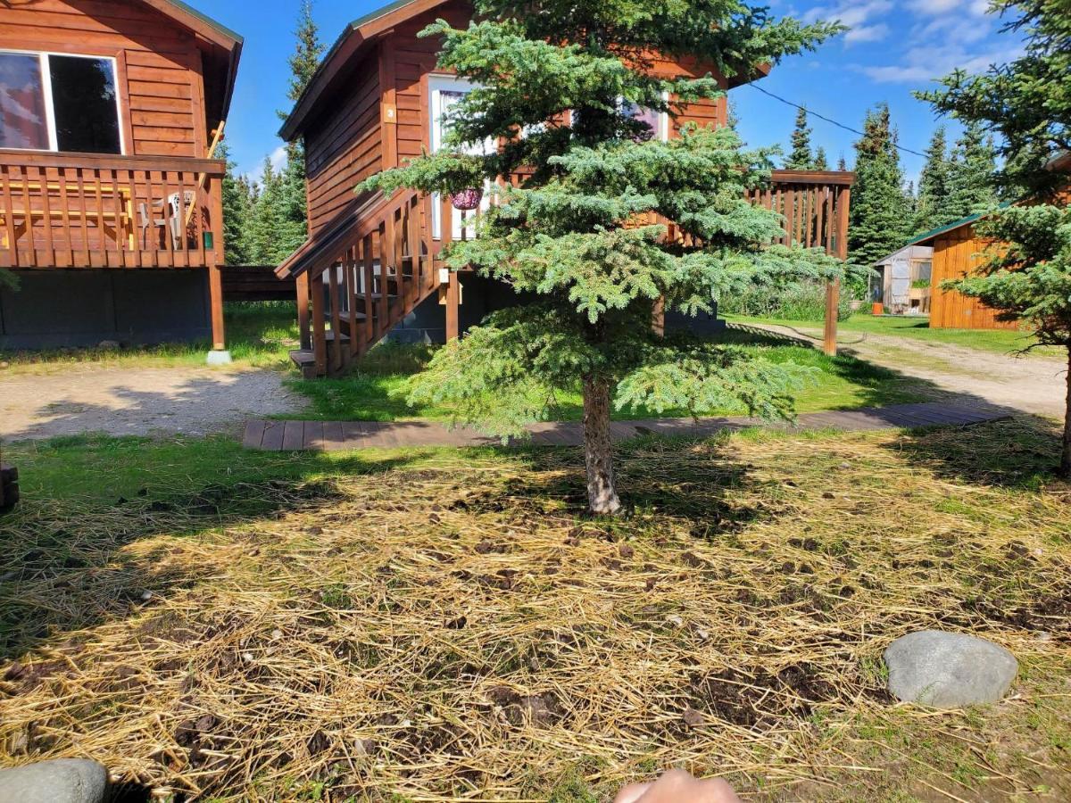 Denali's Alaskan Spruce Holiday park