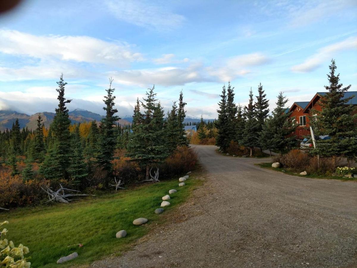 Denali's Alaskan Spruce 3*