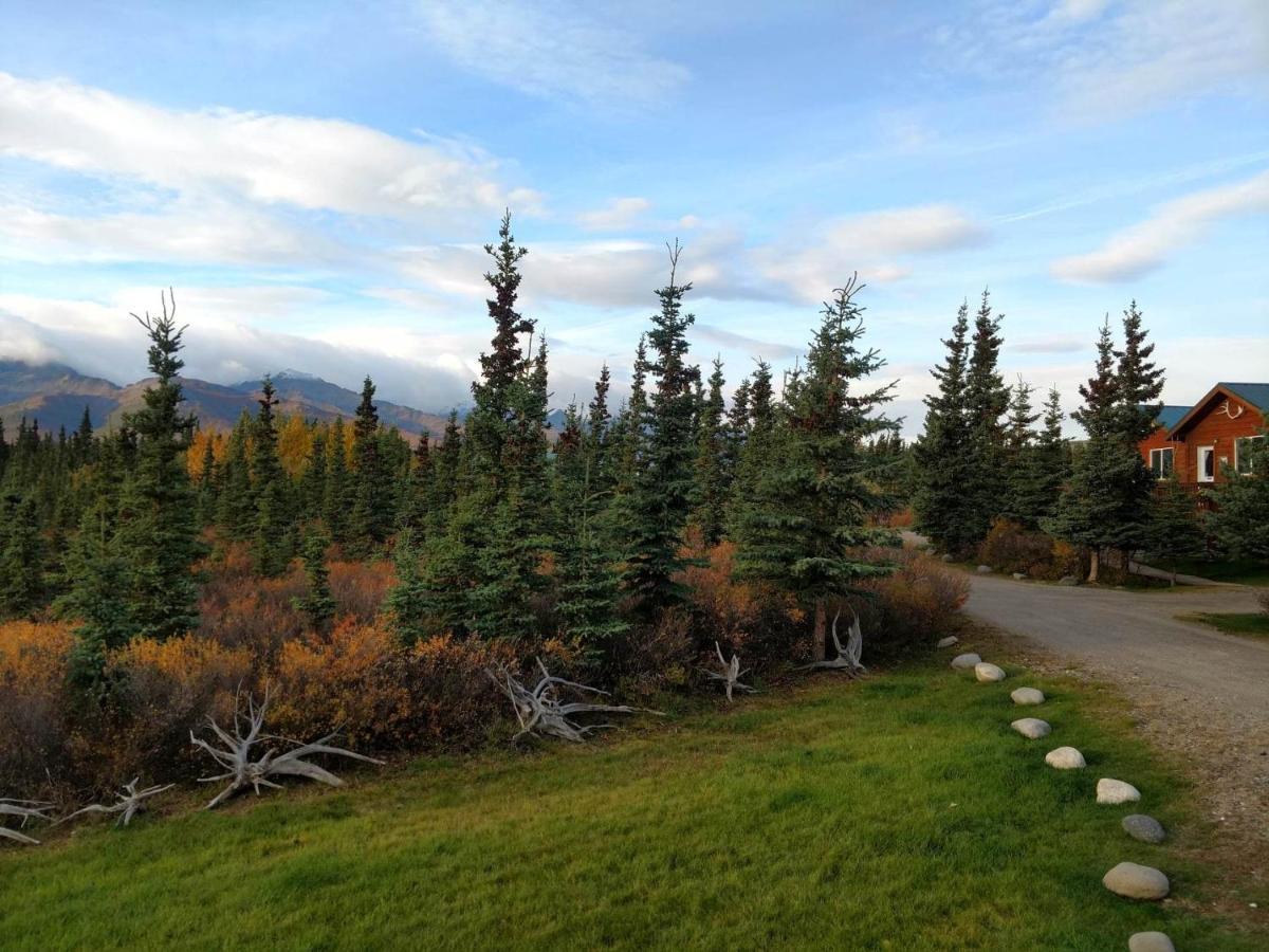 Denali's Alaskan Spruce Holiday park 3*