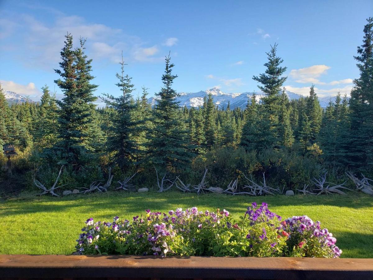Holiday park Denali's Alaskan Spruce Healy