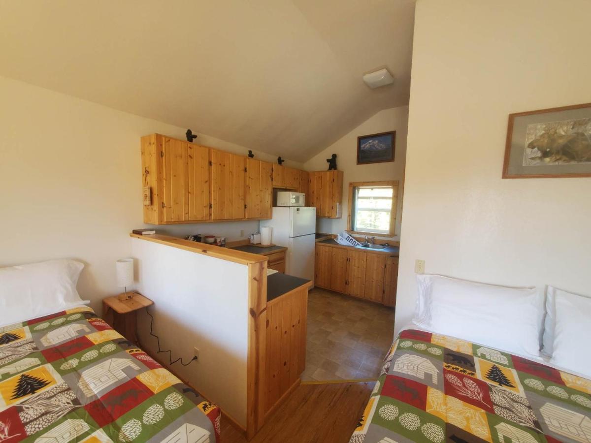 Denali's Alaskan Spruce 3* Healy