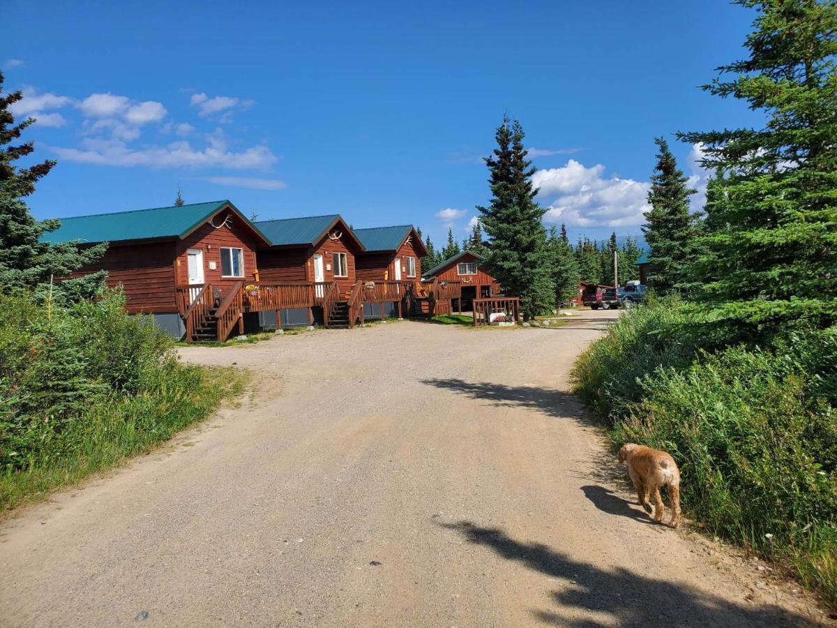 Denali's Alaskan Spruce 3*