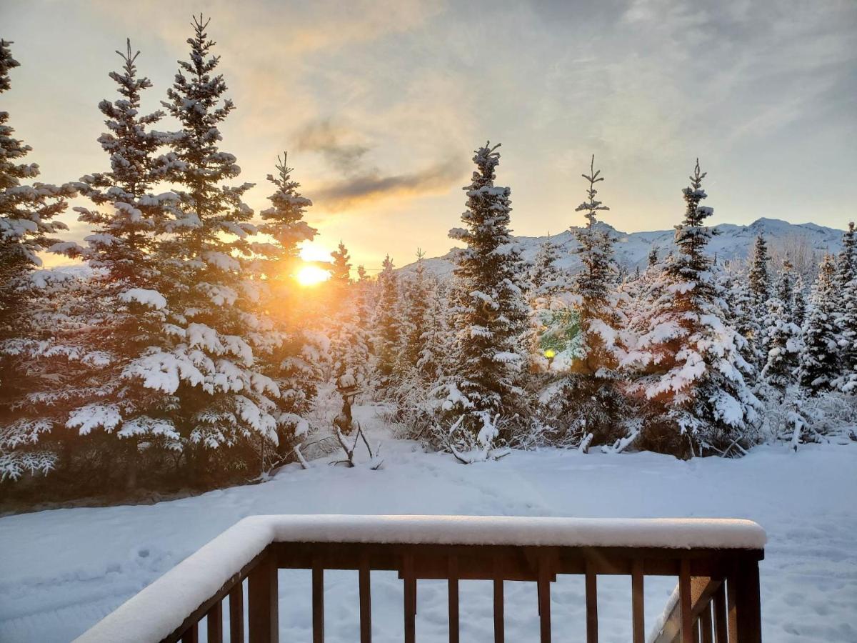 Denali's Alaskan Spruce Holiday park