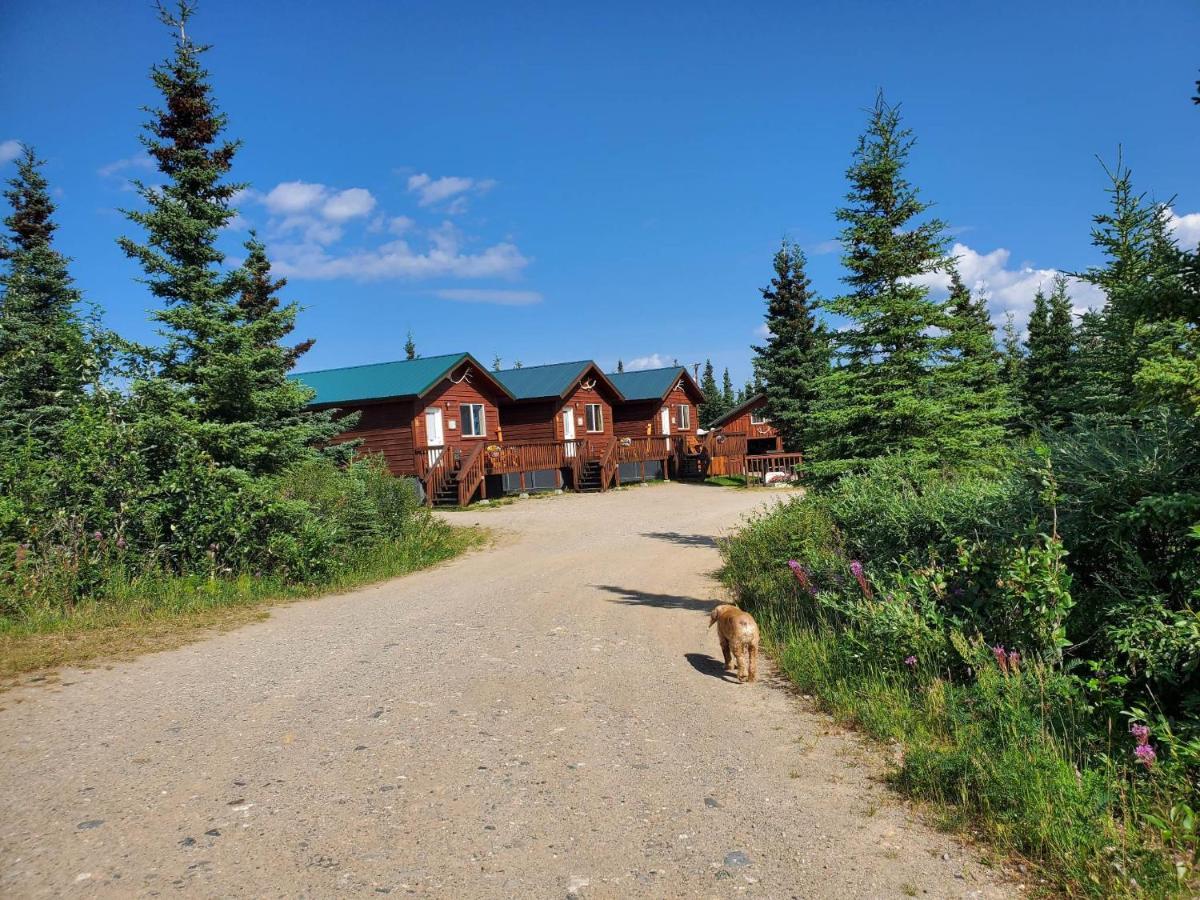 Denali's Alaskan Spruce Healy