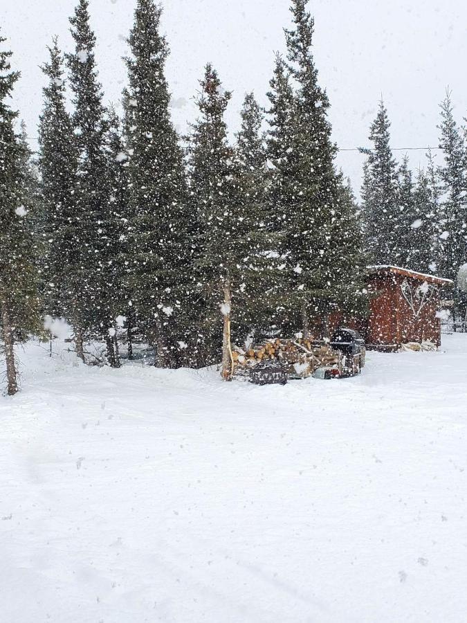 Denali's Alaskan Spruce Holiday park