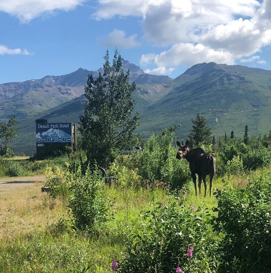 Denali Park