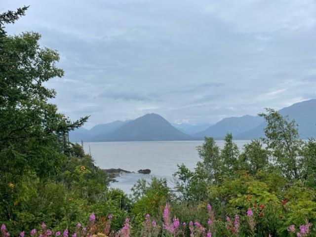 Lodge Alaska + At Longmere *
