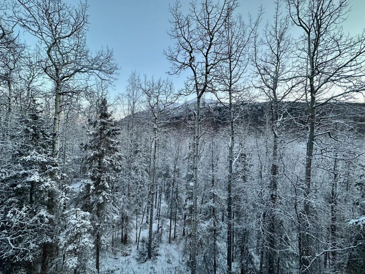 Guest With Hot Tub - Edge Of The Wild * Eagle River