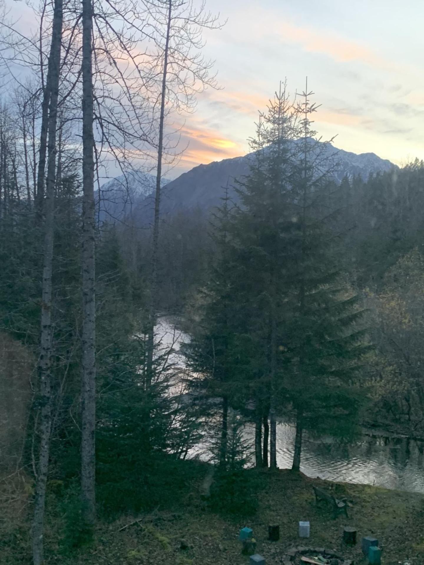 Bear Bottoms At Salmon Creek Seward