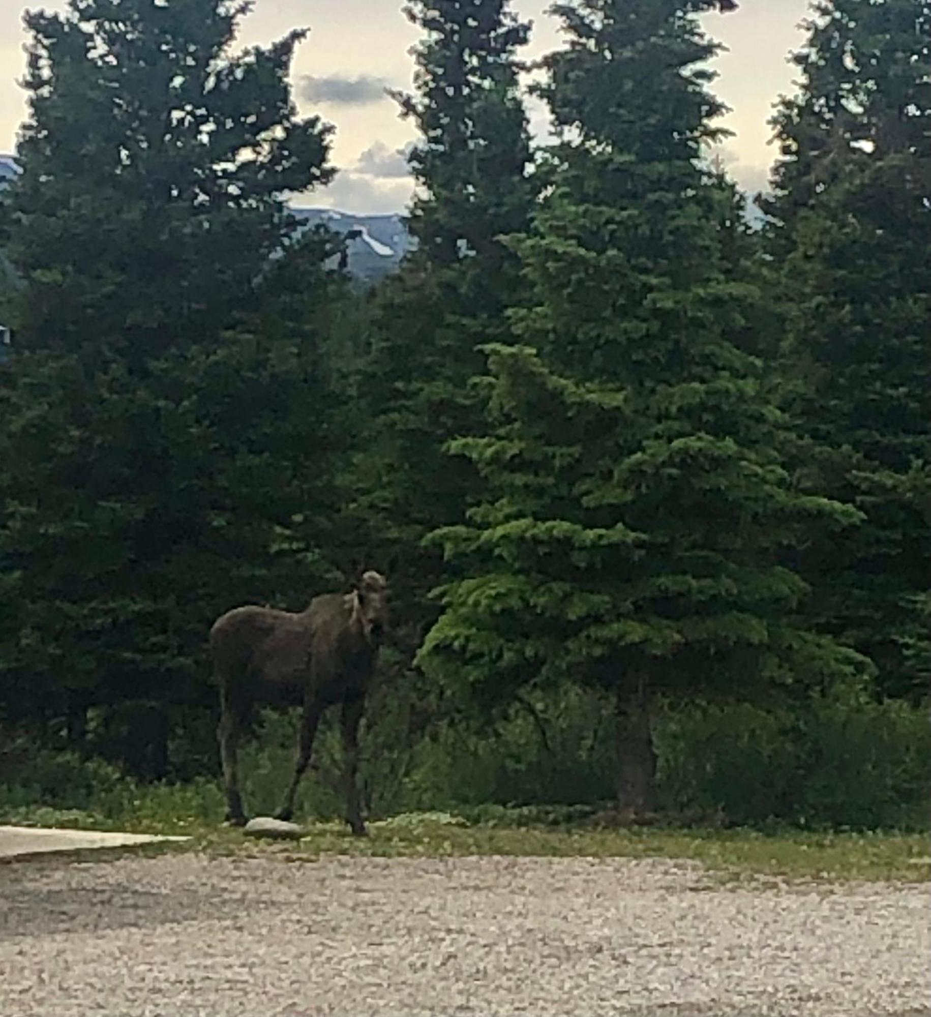Denali Park 2* Healy