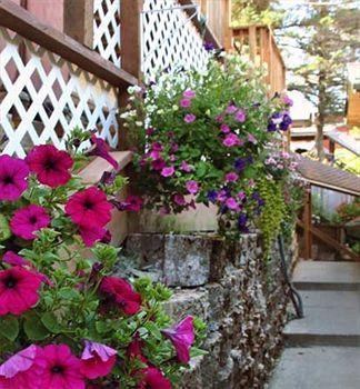 Beachside Luxury And Vacation Guest house Juneau