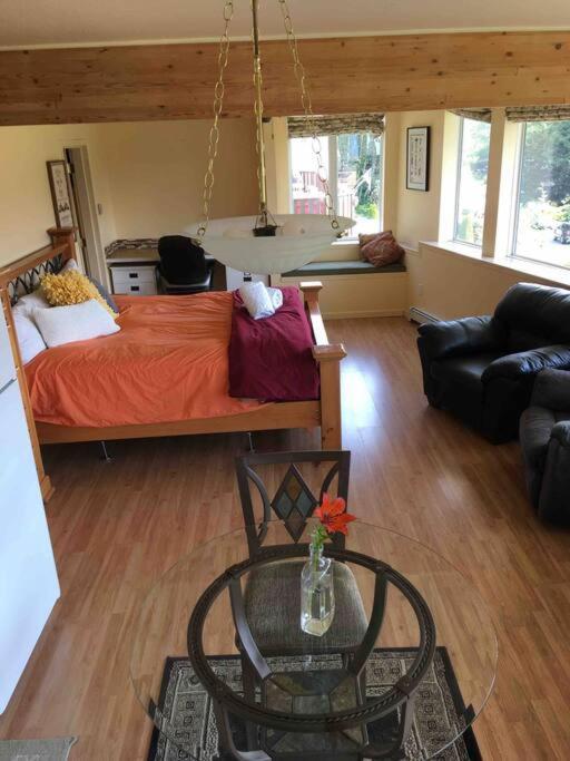 Kelli Creek - Reduced Price On Tours
