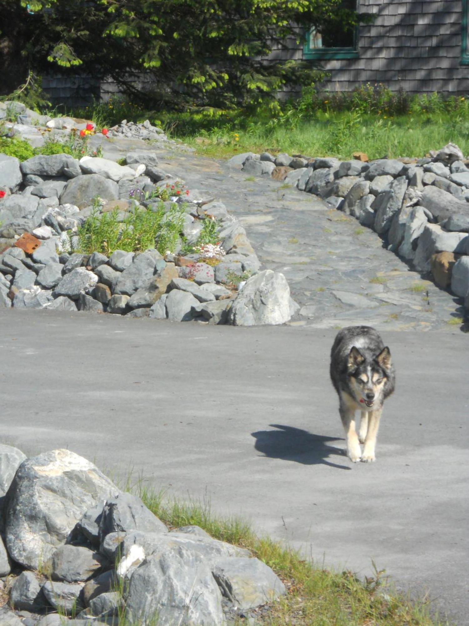 Front Row Bed & Breakfast Seward