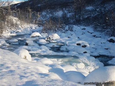 Hatcher Pass Palmer