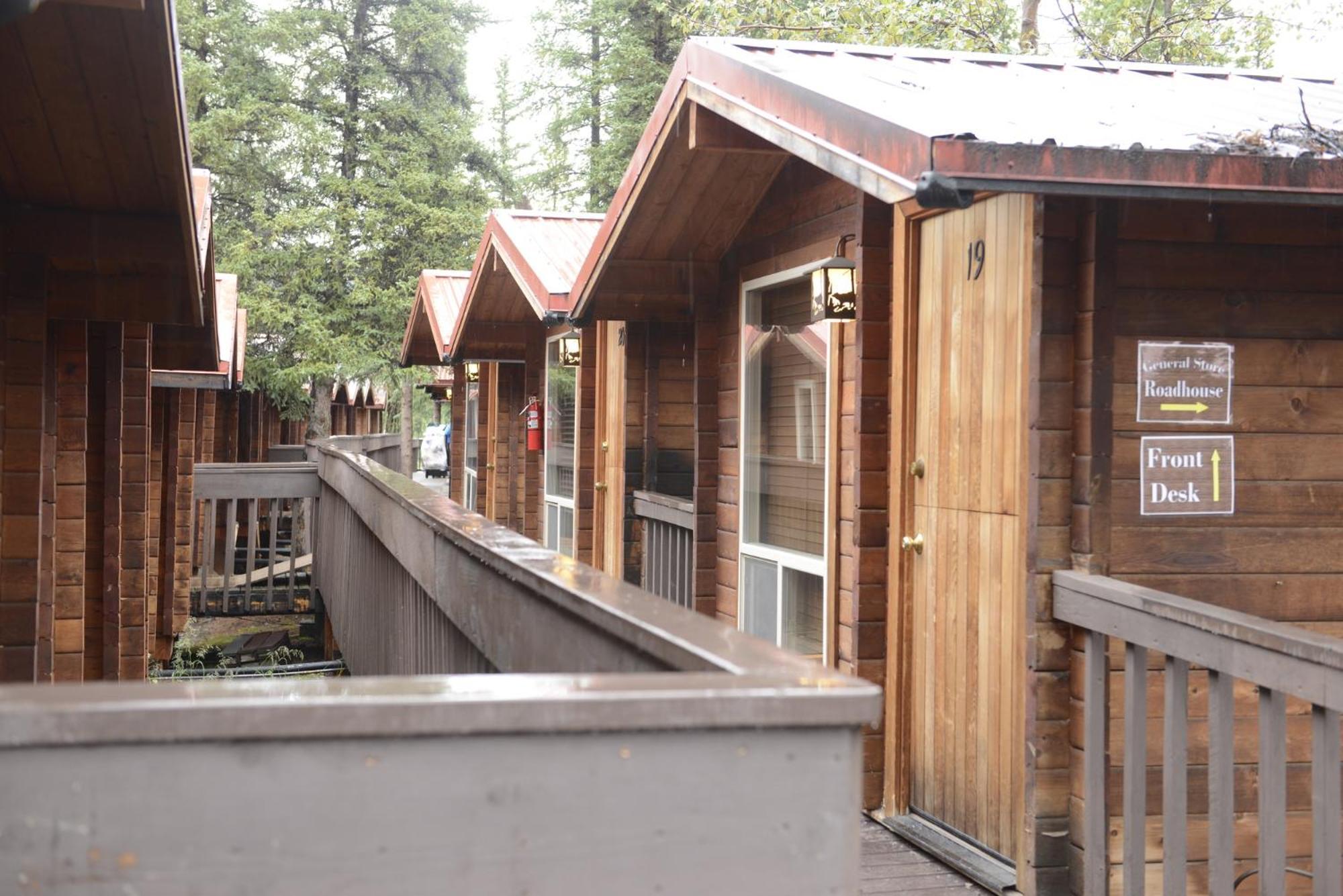 Lodge Denali Grizzly Bear