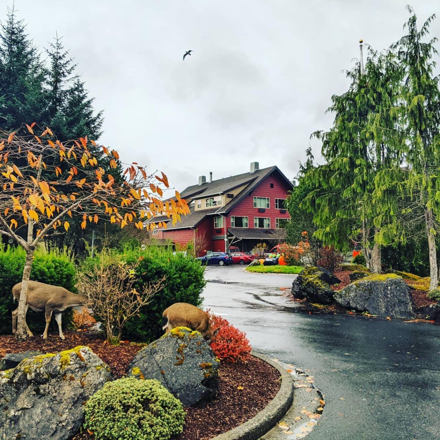 Cape Fox Hotel 4*