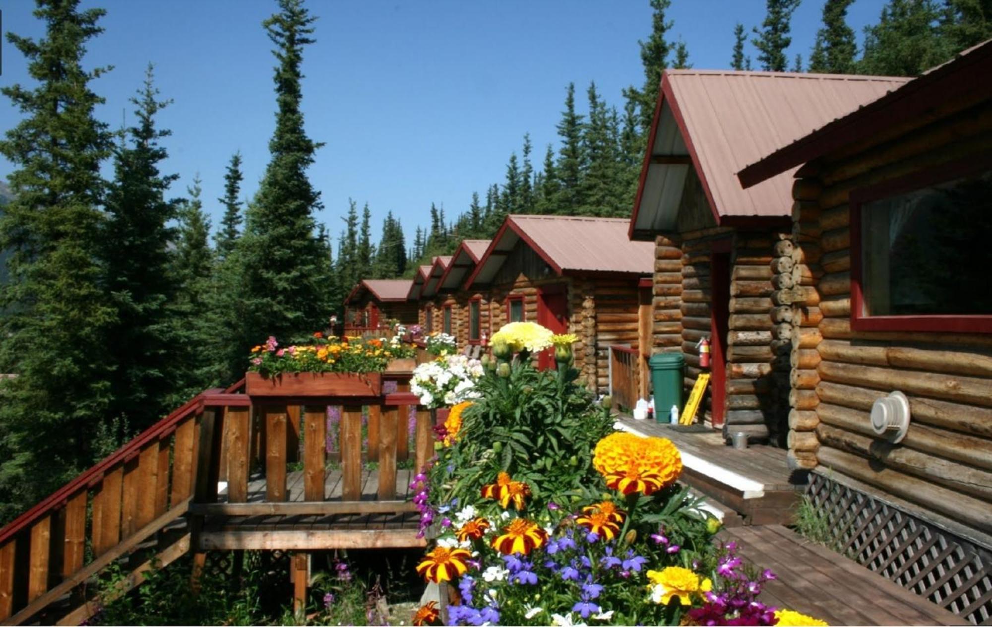 Denali Crow's Nest Holiday park Denali Park