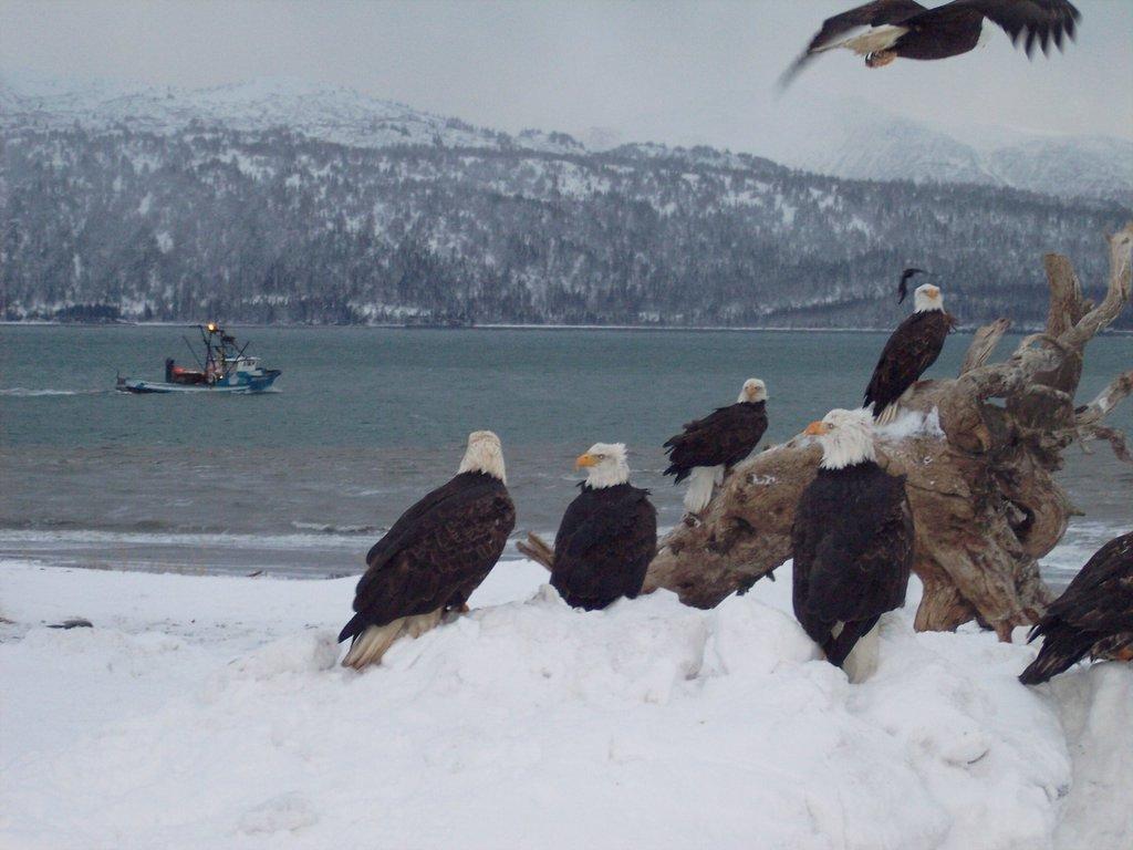 Guest house Alaska Beach House 3*